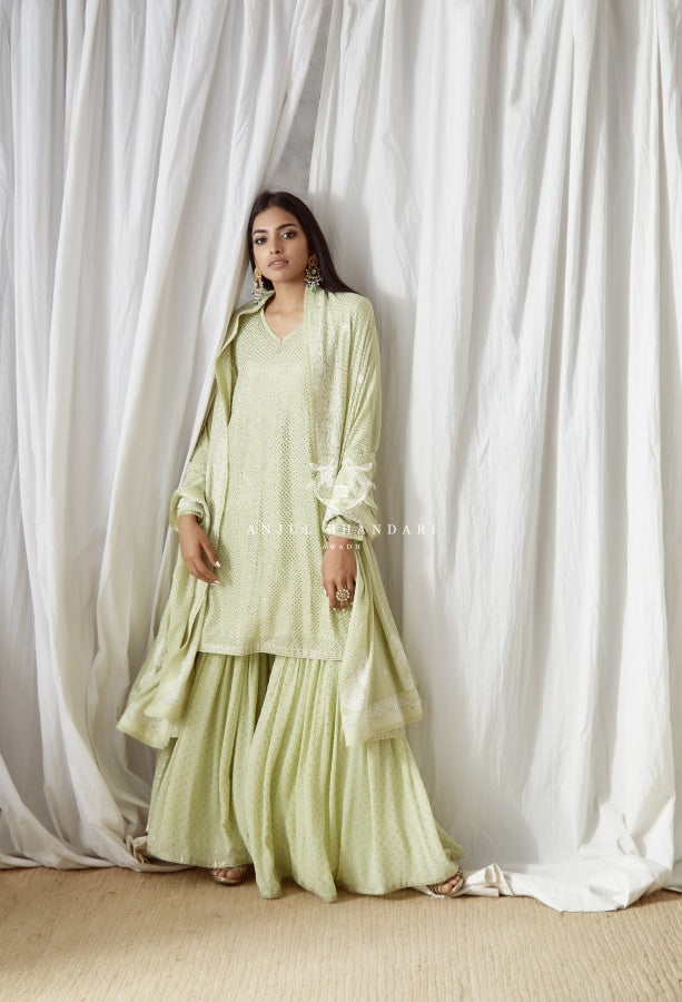 green emerald velvet dress fashneo Elegant Green Embroidered Sharara Style Suit Green / Zari / Georgette
