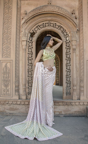 
                  
                    Load image into Gallery viewer, Multi-Tone Saree Set
                  
                